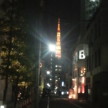 高い所から見ている東京タワーは知っているんだろーなぁ