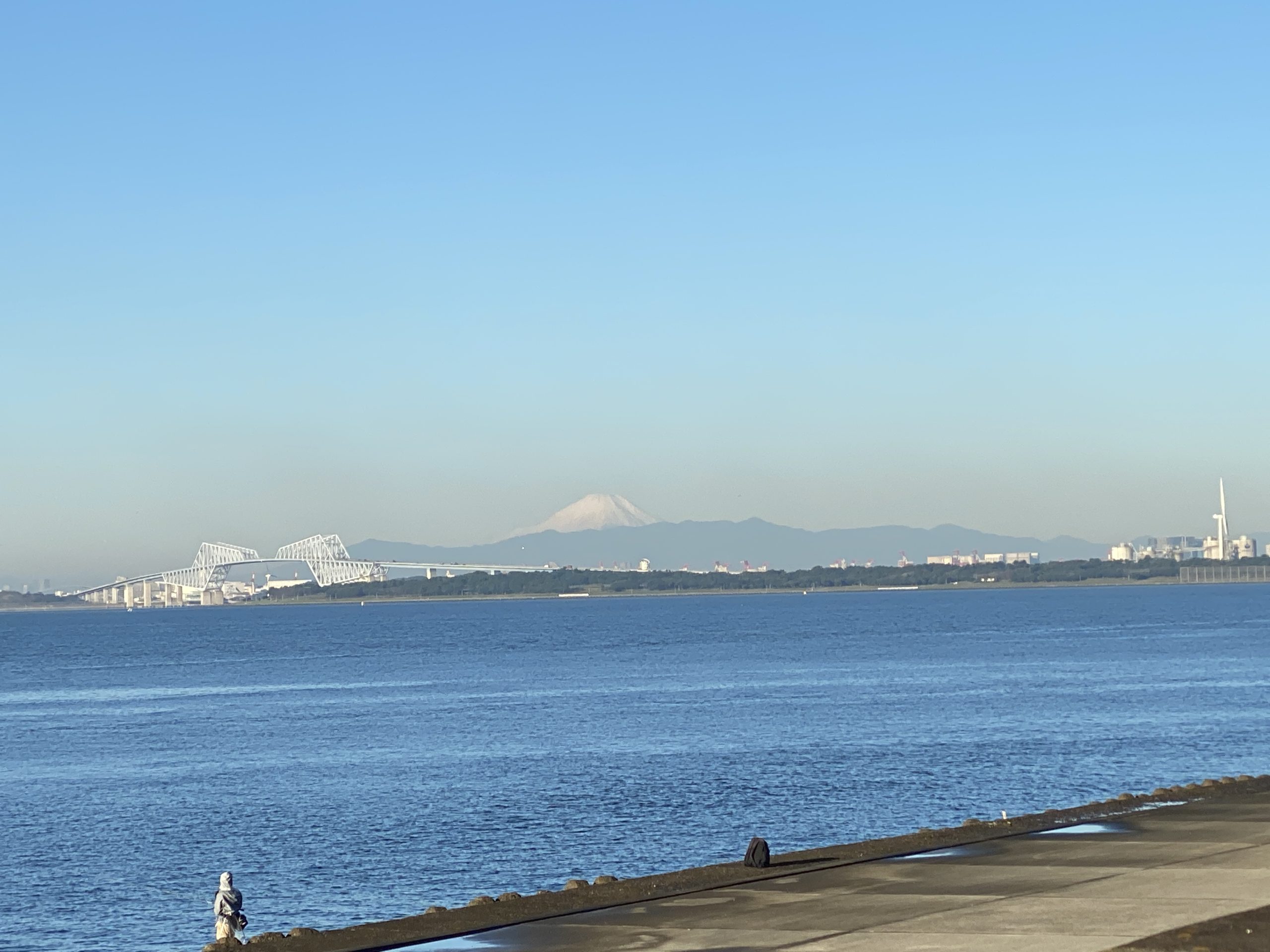 後ろには富士山がいました【気持ちいい！写真詳細解説】東京ディズニーシー・ホテルミラコスタからのランニング・ジョギングコース